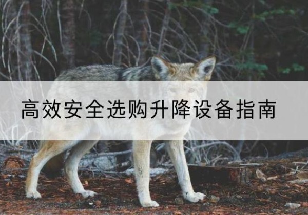 潞州升降货梯厂家推荐-*安全选购升降设备指南
