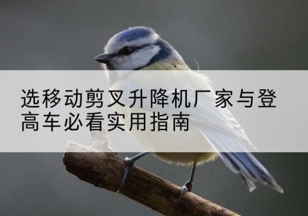 潞州电动升降机厂家-选移动剪叉升降机厂家与登高车必看实用指南